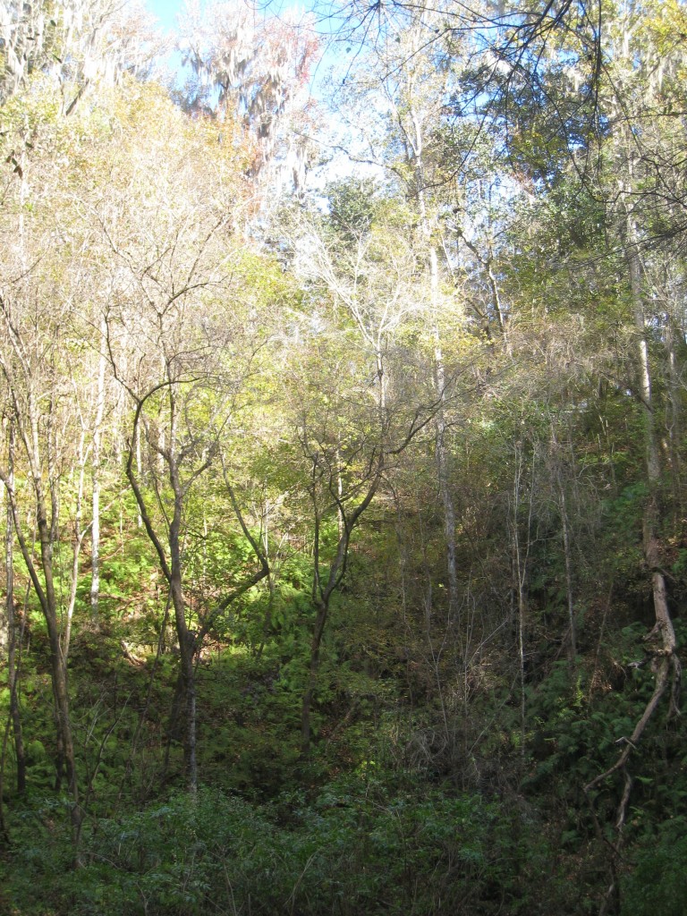 View from the bottom