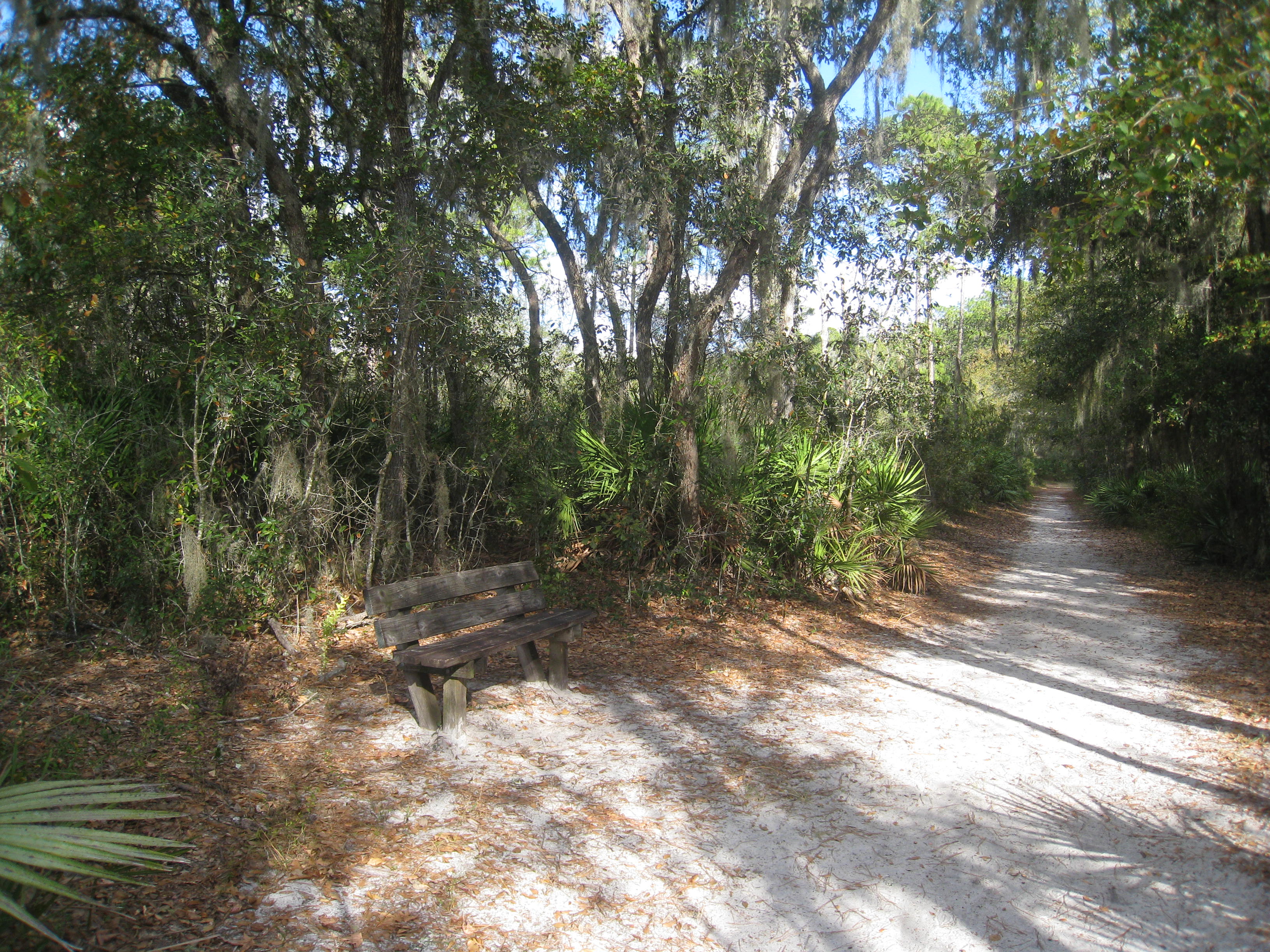 A shady bench along the path