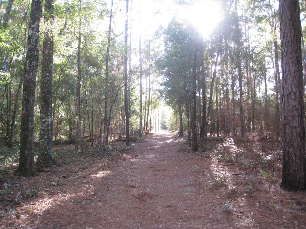 Trail Entrance