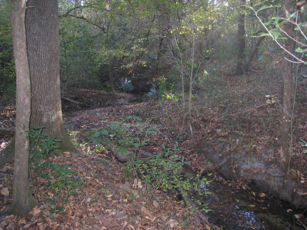 Moonshine Creek