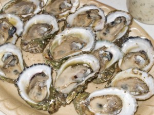 Oysters from Posey's in Panacea, FL