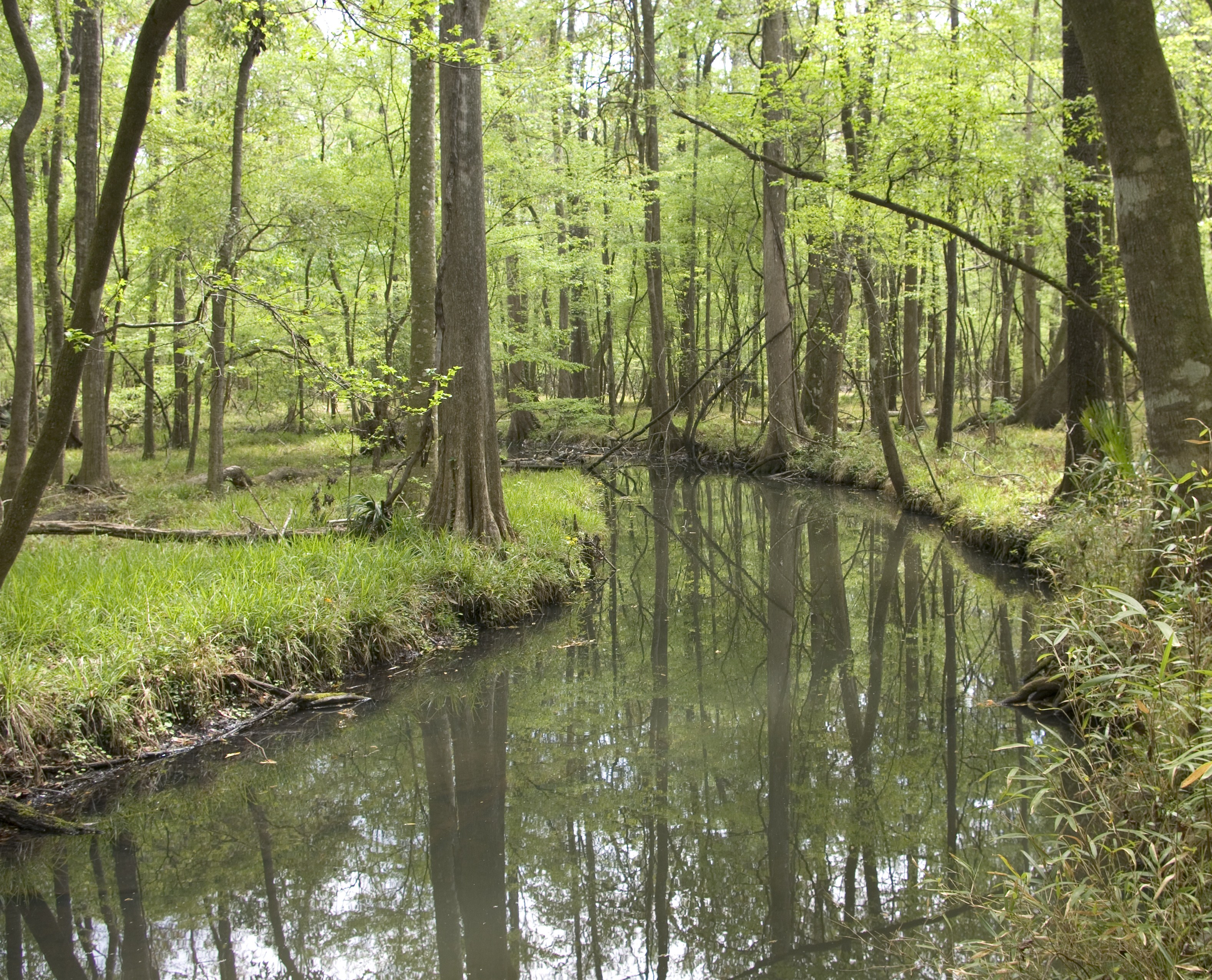 R.O. Ranch Mayo's Equestrian Paradise Visit Natural North Florida