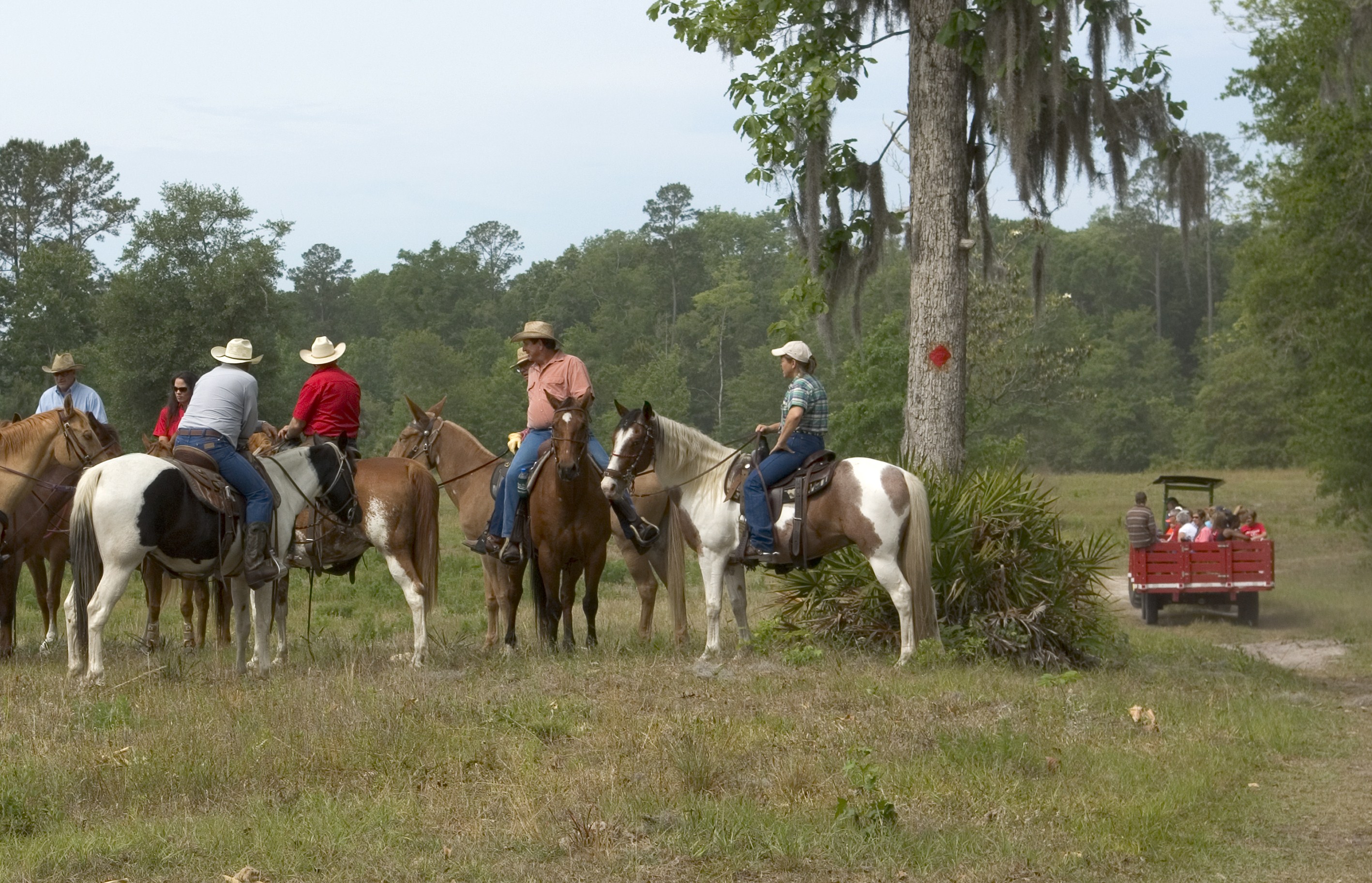 R.O. Ranch Mayo's Equestrian Paradise Visit Natural North Florida