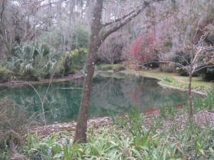 reflecting pond