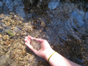 sifting