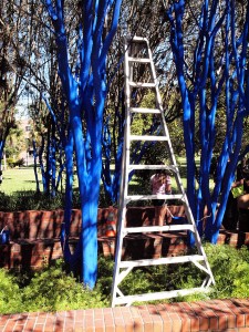 Blue Trees