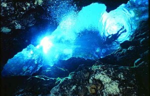 Divers marvel at Ginnie Springs' beauty