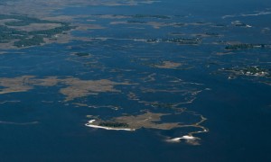 The shallow backwaters at Cedar Key are an excellent spot for paddling anglers!