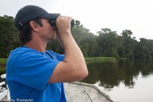 Keen eyes and a pair of good binoculars are helpful when spotting gators