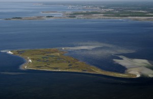 Aerial view of Taylor County's Big Grass Island