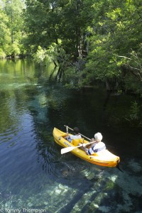 Blue Springs, in Gilchrist County on the Santa Fe River, is a family fun park.