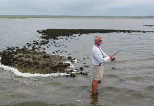 Try wading the bars on the north end of Waccasassa Bay.  Redfish await!