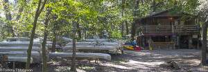 Santa Fe Canoe Outpost is nestled in a cypress forest next to the Santa Fe River, just outside of High Springs, FL. 