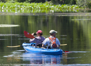The Wacissa River in Jefferson County offers excellent paddling over and around several large springs.