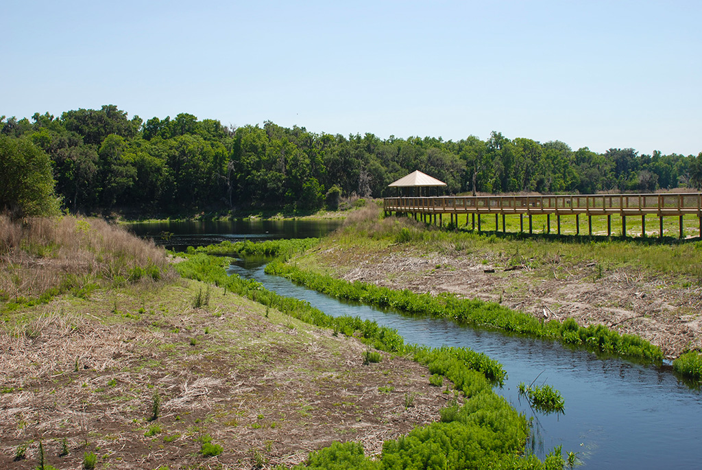 Along the boardwalk section of the La Chua Trail