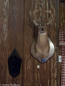 You never know who you'll meet at Cross City's Cypress Inn.