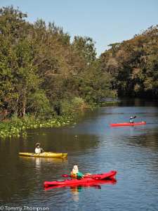 Our Natural North Florida rivers offer a variety of paddling opportunities.