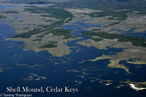 The waters near Cedar Key, in Levy County, are typical.  Expect lots of shell bars, islands, creeks and scenic views!