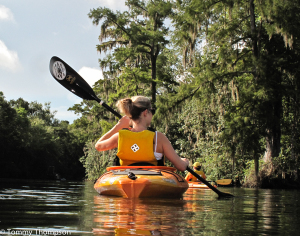 The Wakulla River, near St. Marks, is scenic, clear and rustic.