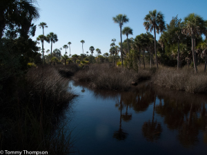 The scenery is unmatched at the headwaters of coastal creeks.