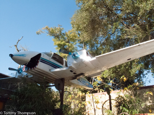 See the plane in the back yard at Satchel's Pizza in Gainesville