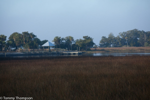 The Shired Island Boat ramp allows launching into Shired Creek, with quick access to the Gulf