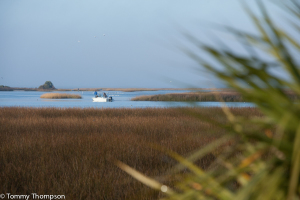 Shired Creek is just one of the many coastal creeks feeding into the Gulf of Mexico near Shired Island