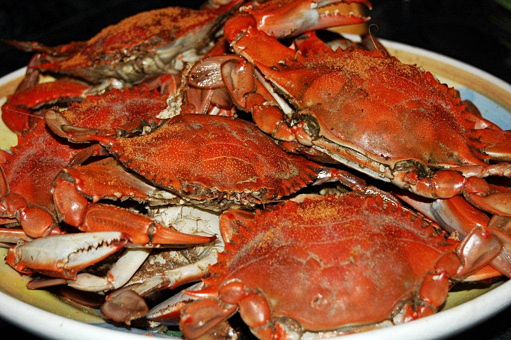 Natural North Florida Dining Essentials: How to Eat a Blue Crab - Visit