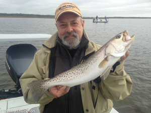 Here's a nice seatrout, caught by Capt. Rick Davidson, on the flats outside the Steinhatchee River in Taylor County 