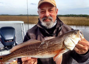 Redfish are hungry, too.  But they can be more scattered than trout.  Look for rocky bars near shore and mullet jumping!