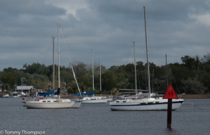 There's good anchorage just upstream of Good Times Marina and Sea Hag Marina at Steinhatchee