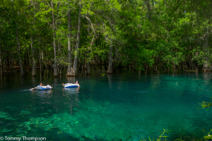 Manatee Springs State Park