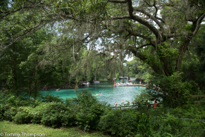 Fanning Springs State Park