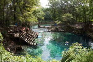 Madison Blue Springs, Madison County, FL