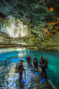 Devil's Den Spring, Williston, FL