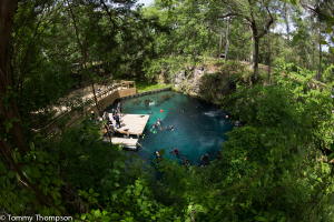 Blue Grotto, Williston, FL