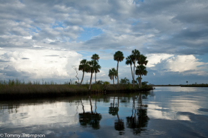 Big Bend Coastal Creeks attract seatrout and redfish as wintertime tides rise. 