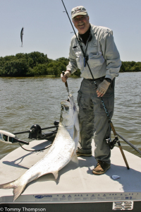 Anglers fishing from Ross Hammock Ranch in Levy County might catch a tarpon like this one!