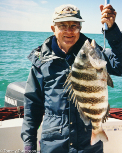 Big sheepshead are easy to catch during cool months, but don't try to keep all the fish you hook!  Conserve the species!