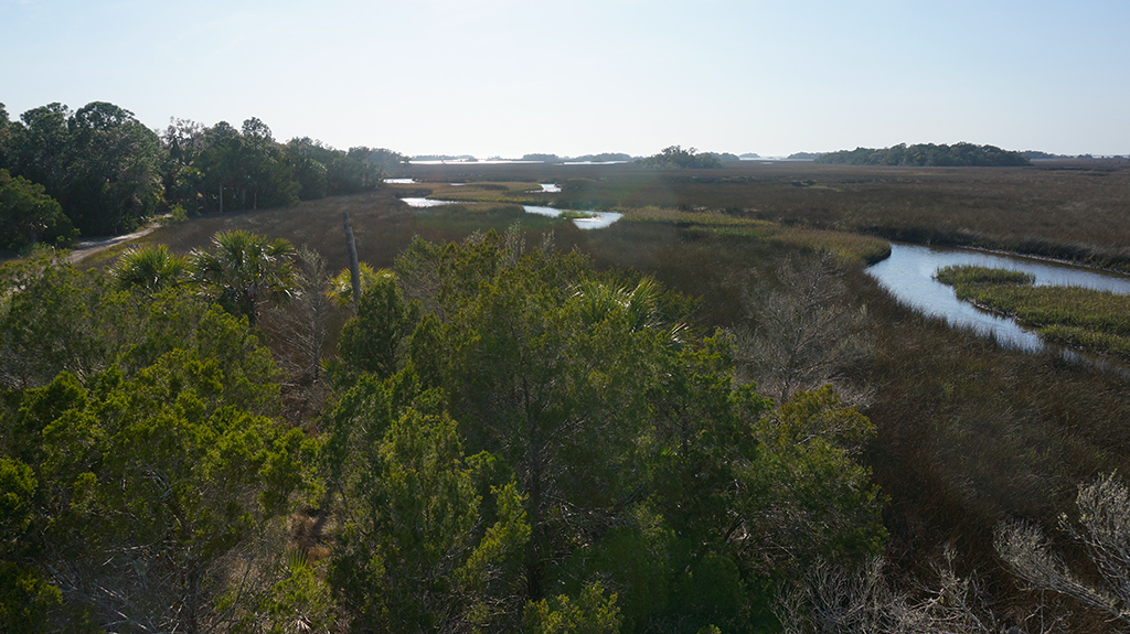 View towards the Gulf of Mexico from the tower (John Keatley)