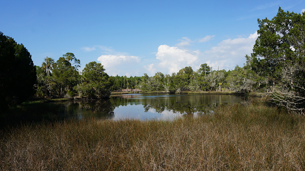 The boardwalk wraps around Salt Pond (John Keatley)