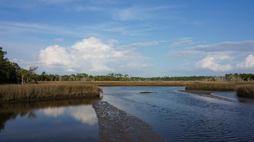 View from the kayak dock