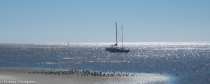 The views from Cedar Cove and The Island Room can be spectacular!