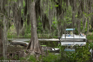 Cross Creek connects Lochloosa and Orange lakes.