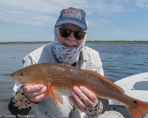 Expect to find redfish like this one close to Big Bend shorelines, especially on high tides!