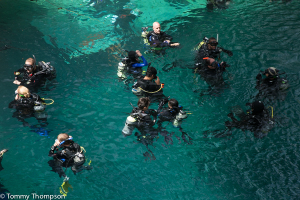 Blue Grotto Springs' crystal clear and constant 72-degree water is a great place to SCUBA or cave dive...