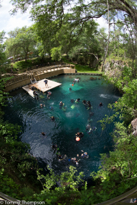 Blue Grotto, in Levy County. Florida, is more than just a small hole in the ground!