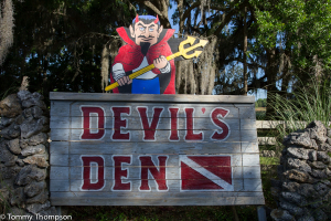 Greetings from the devil at Devil's Den, near Williston, Florida