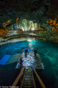 Devil's Den is a a sunken cavern with a 60-plus foot ceiling.  Below, cave divers can explore one of Florida's most interesting springs.