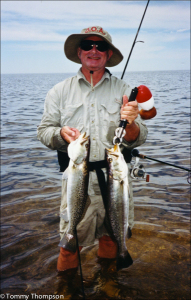 A couple of nice trout, caught while wading oyster bars south of Horseshoe Beach, In Dixie County